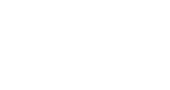 The Productivity Paradox