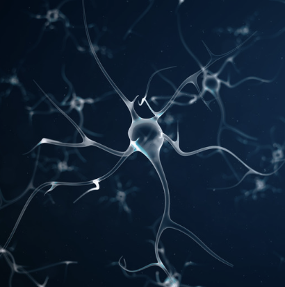 A microscopic image of a neuron, highlighting the electrical and chemical processes involved in thought.