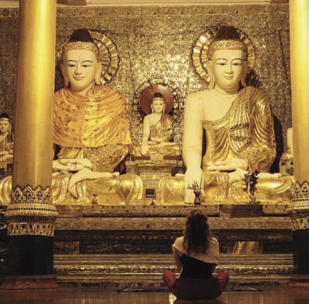 Serene Meditation Before Golden Buddha Statues