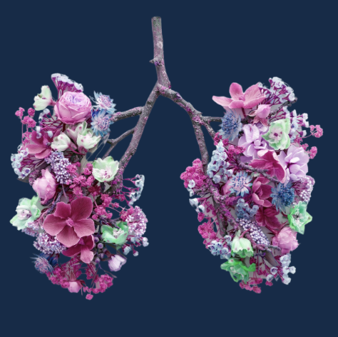 Lungs shaped from flowers, symbolizing the breath of life and vitality.