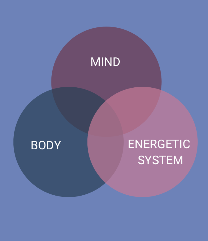 A Venn diagram illustrating the interconnectedness of the mind, body, and energetic system.