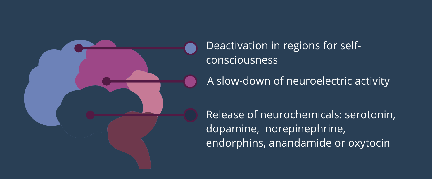 The Neuroscience of Flow